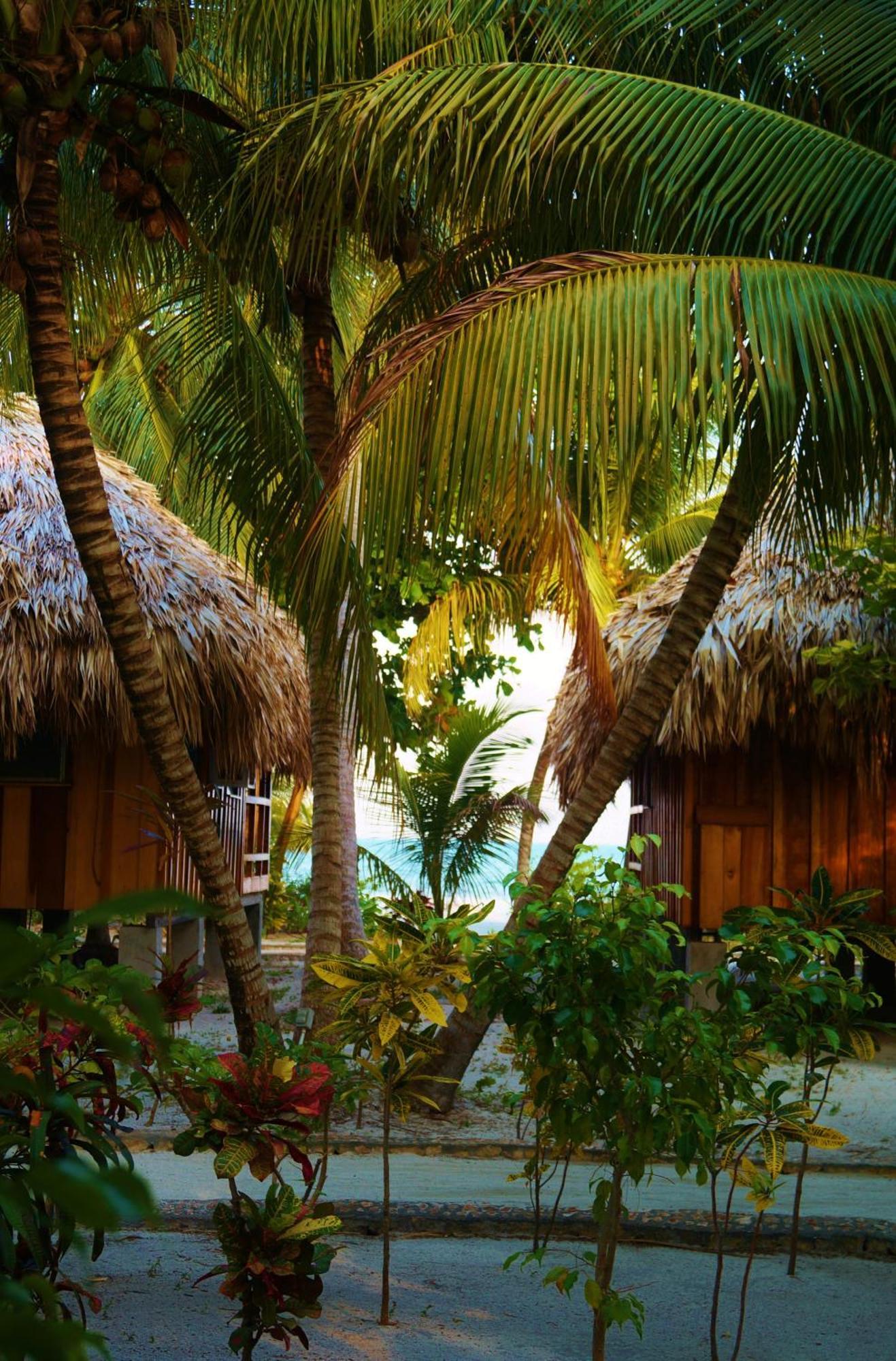 St. George'S Caye Resort Belize City Oda fotoğraf