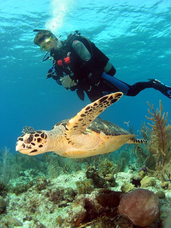 St. George'S Caye Resort Belize City Dış mekan fotoğraf