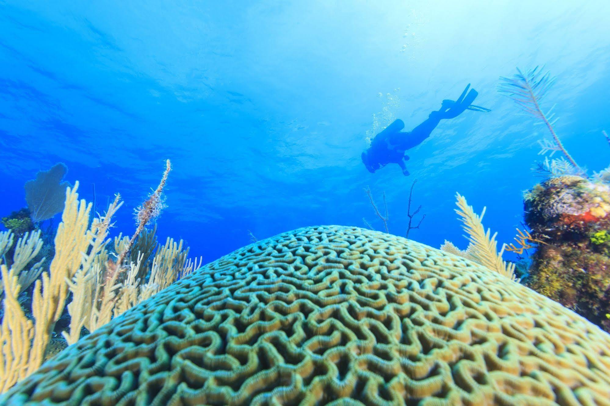 St. George'S Caye Resort Belize City Dış mekan fotoğraf